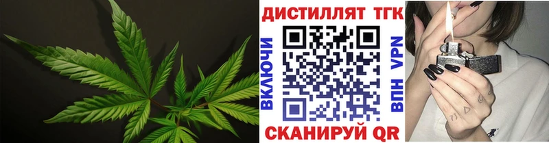 Купить  Ачхой-Мартан  Дистиллят ТГК вейп 