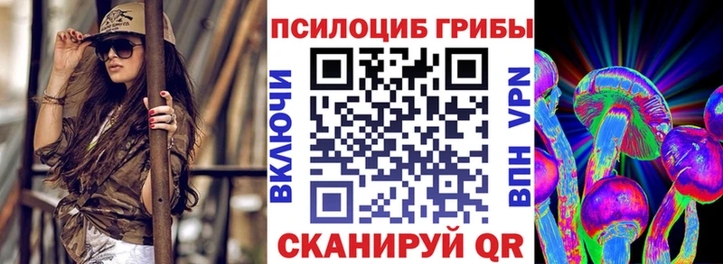 Галлюциногенные грибы Psilocybine cubensis  Купить  Ачхой-Мартан 